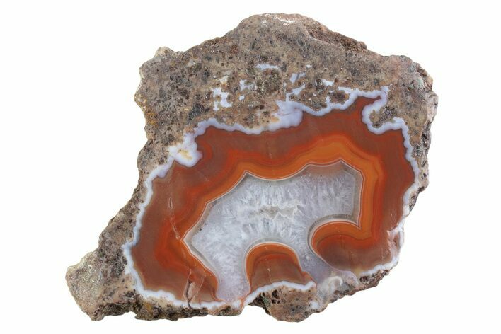 Polished Banded Agate Nodule Half - Bou Hamza, Morocco #373305
